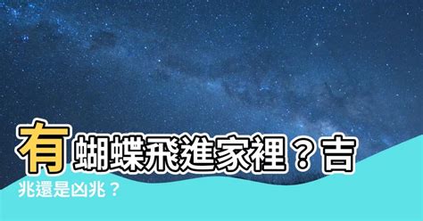 黃色蝴蝶飛進家裡|蝴蝶飛進家，如何應對趨吉避兇？